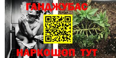 спиды Заводоуковск
