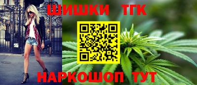 индика Жуковский
