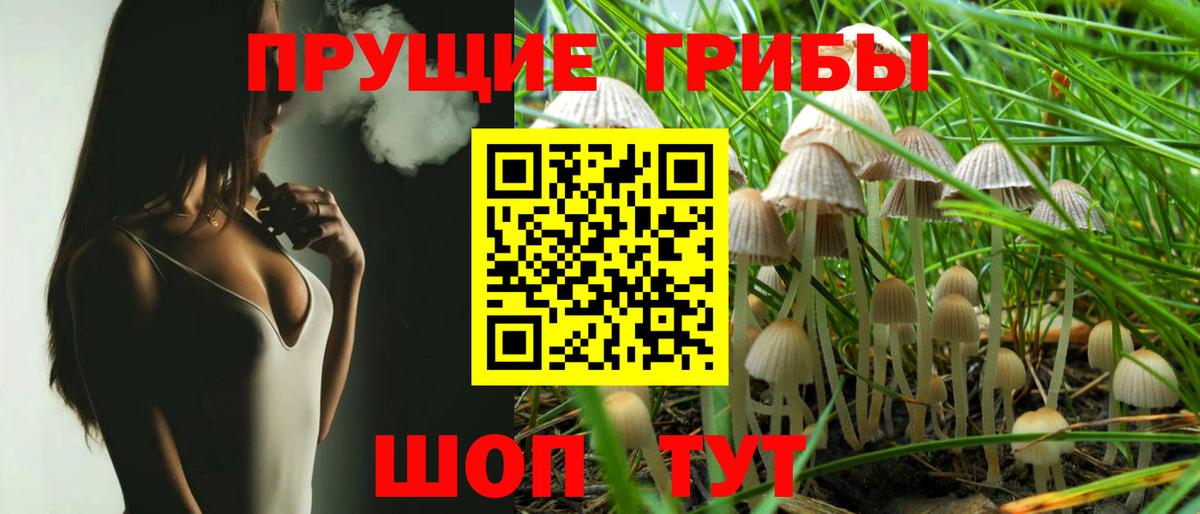 Псилоцибиновые грибы ЛСД Котельники