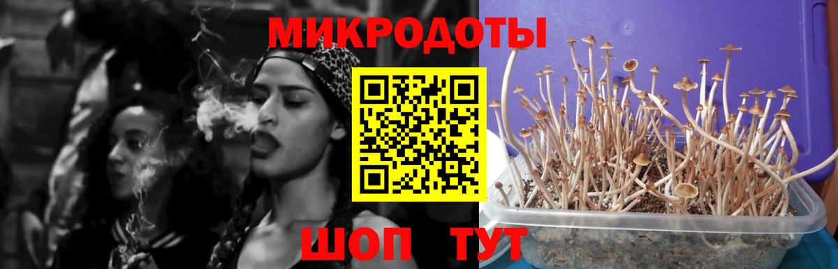 Галлюциногенные грибы Cubensis  Псилоцибиновые грибы прущие грибы  цены   Котельники  Вход с VPN 
